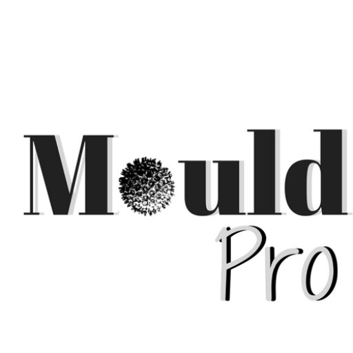 Mould Pro